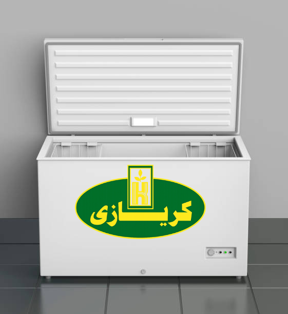 تصميم بدون عنوان (19)